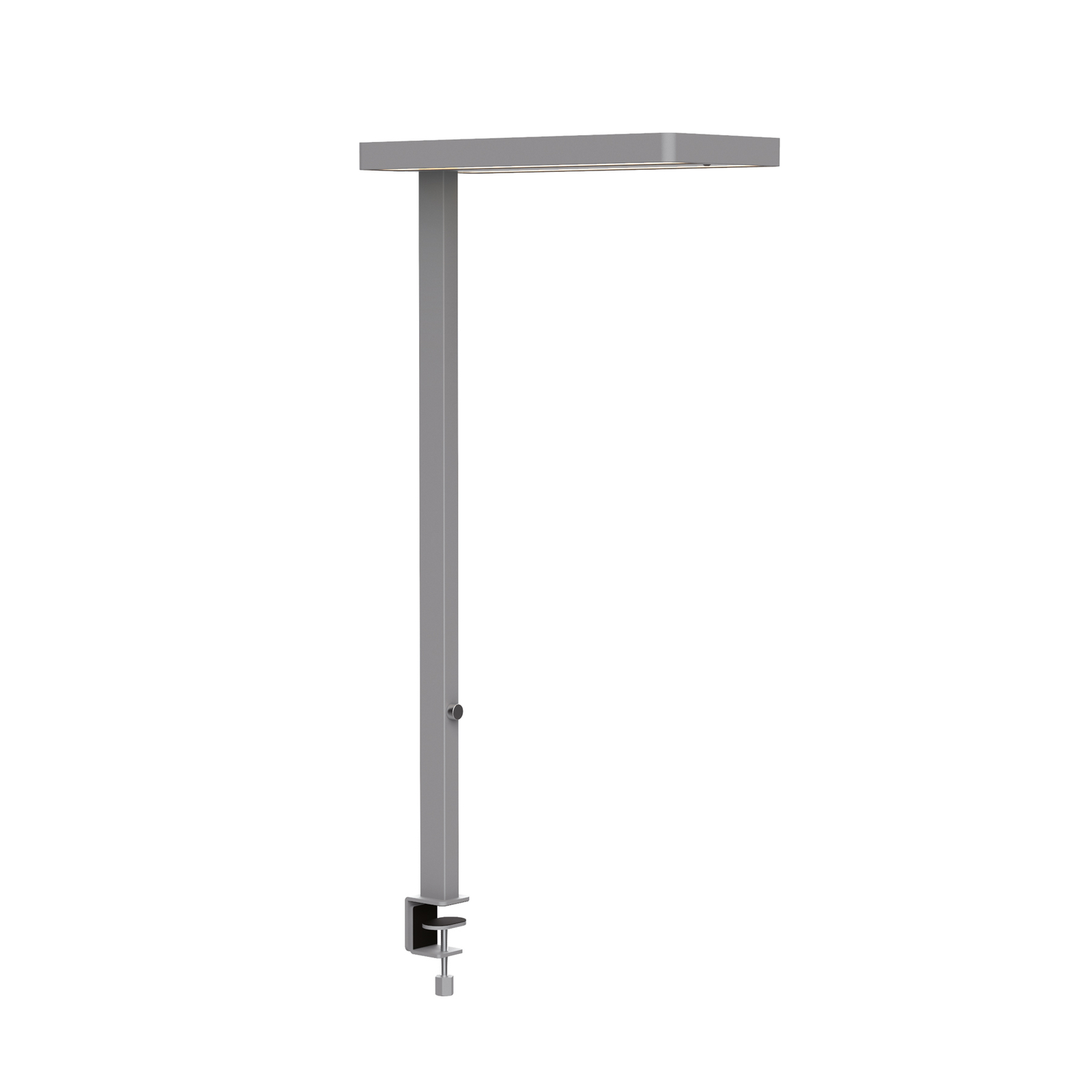 LED-bordslampa MAULjuvis, silver, klämbar bas