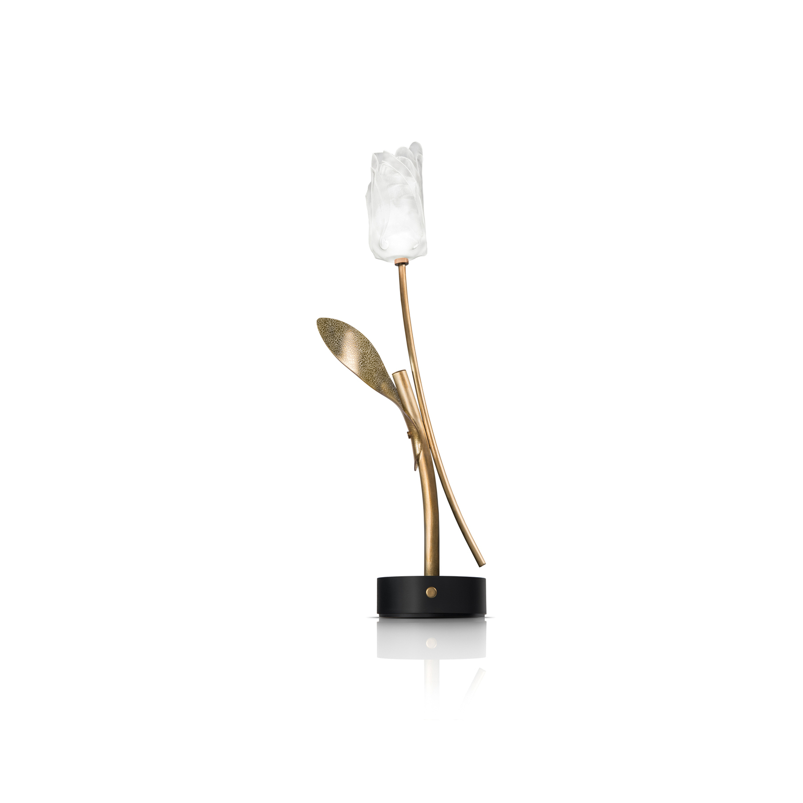 Slamp LED-es újratölthető asztali lámpa Tulipán, fekete talapzat