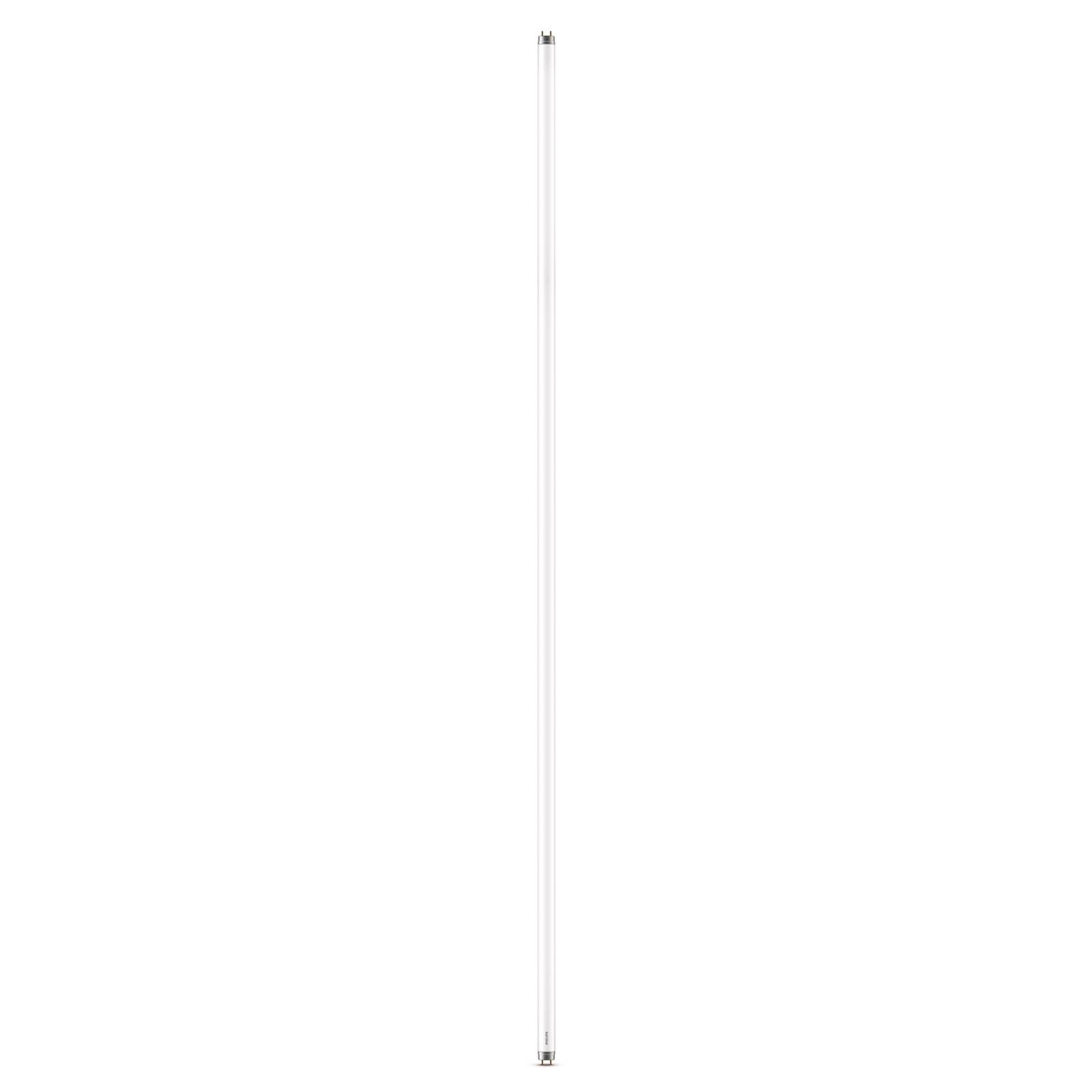 Philips G13 T8 LED-Röhrenlampe 19,5W 151,4cm 2700K