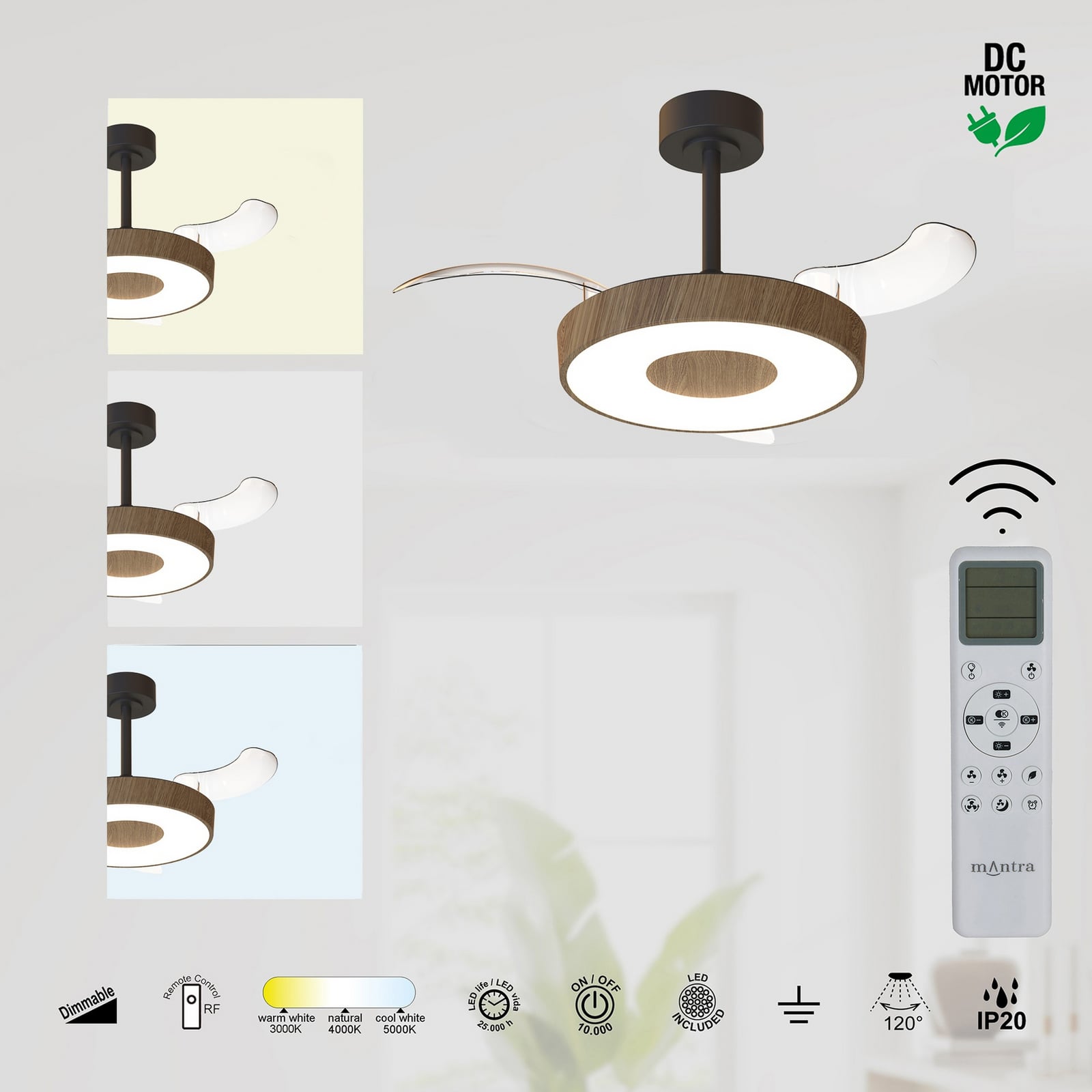 Ventilador de techo LED inteligente Coin Mini, madera/negro, CC, silencioso Ventilador de techo LED inteligente Coin Mini, madera/negro, CC, silencioso