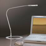 Paulmann Plaza LED lampa na písací stôl, železo