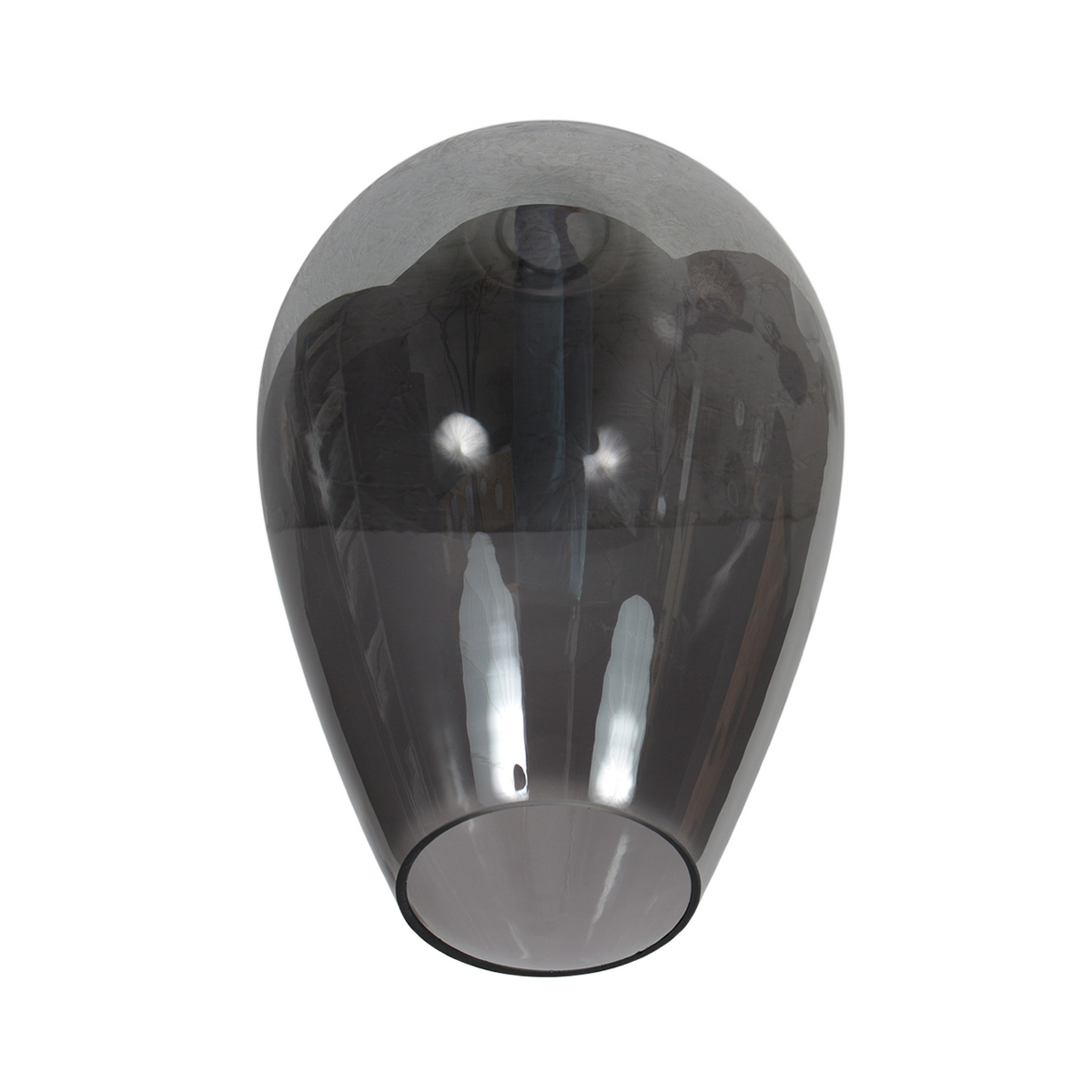 Stropna lampa Bloeba, crna/dimno siva, Ø 22 cm, staklena kapa