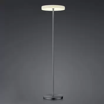 Paul Neuhaus anthrazit LED-Stehlampe Dimmer Titus