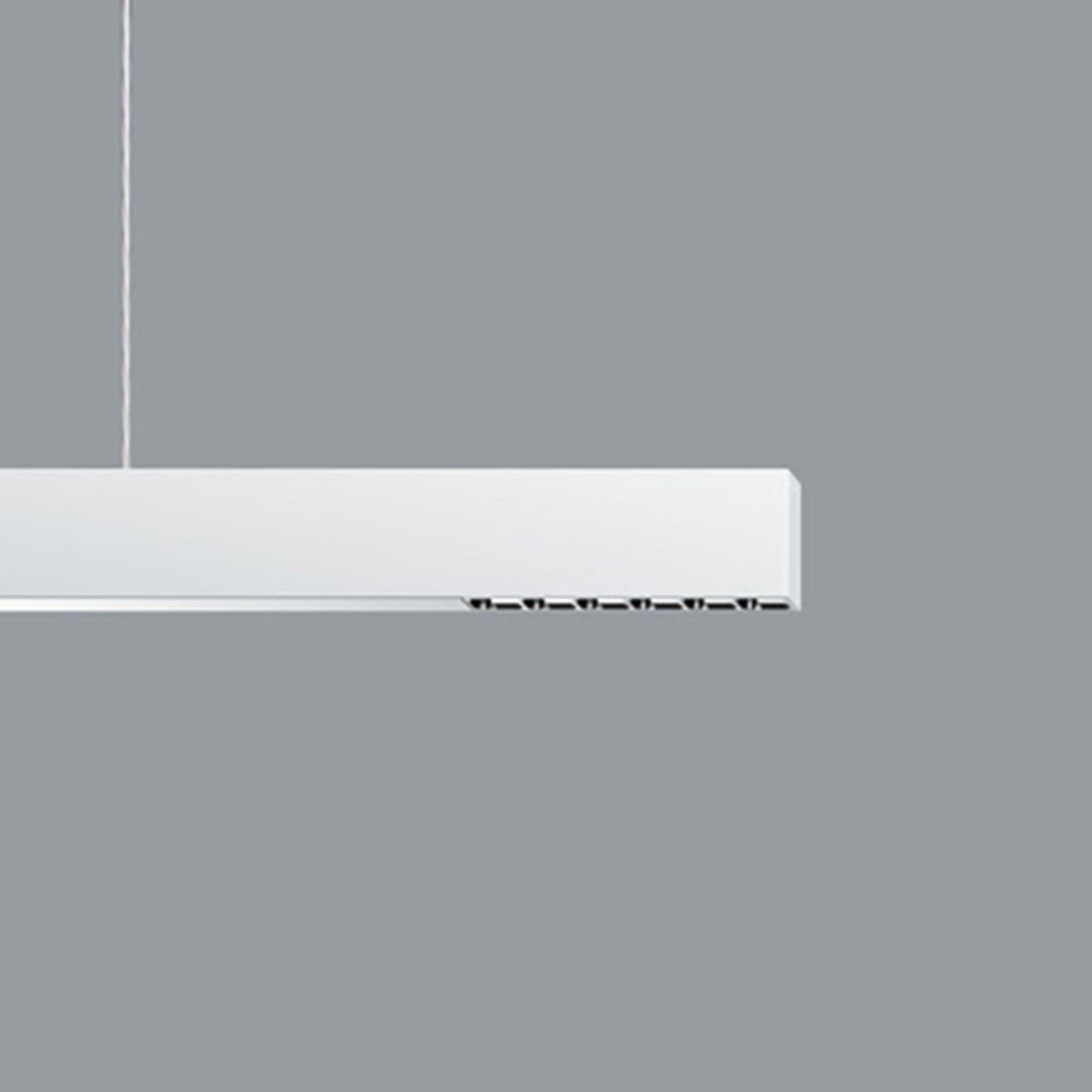 ERCO Compar Pendelleuchte DALI up/down oval wide