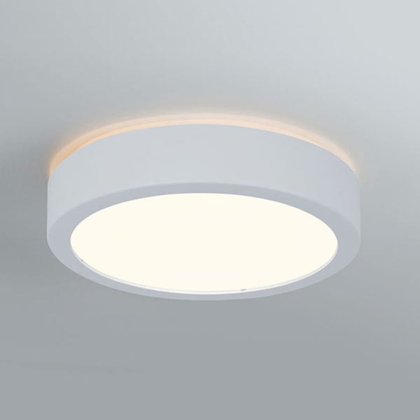 Paulmann Aviar Plafoniera LED per il bagno Ø22cm