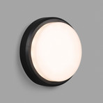 LED-Außenwandleuchte Tom XL, IK10