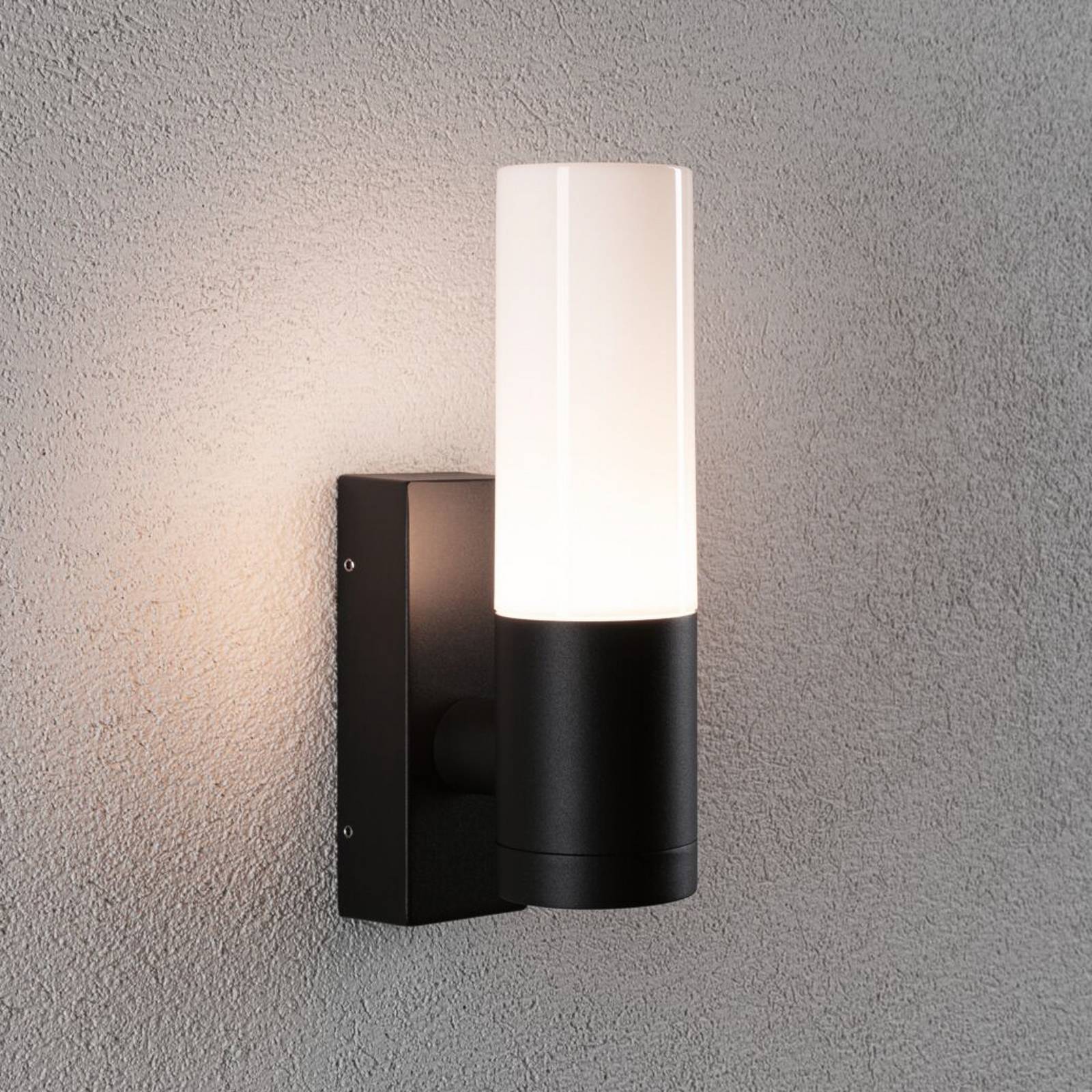 Applique d'extérieur Paulmann Tralia, anthracite, hauteur 25 cm IP44