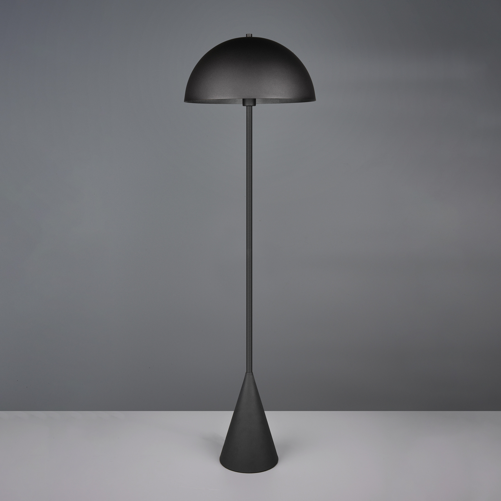 Lampe sur pied Alfie, noir mat, métal, E27