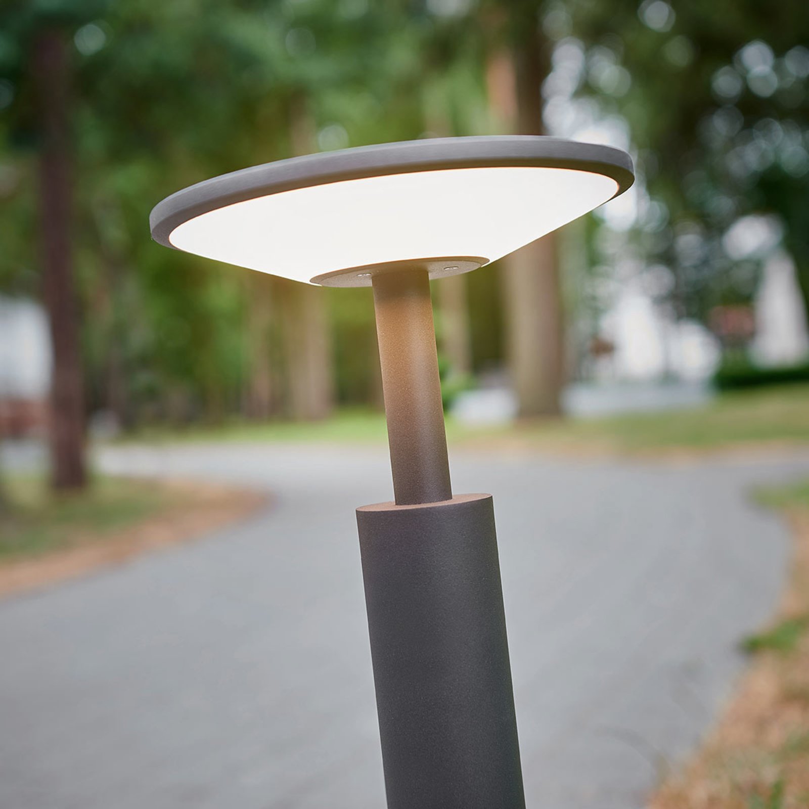 Fenia Buiten Tuinlamp H60 Anthracite/Opal - Lucande