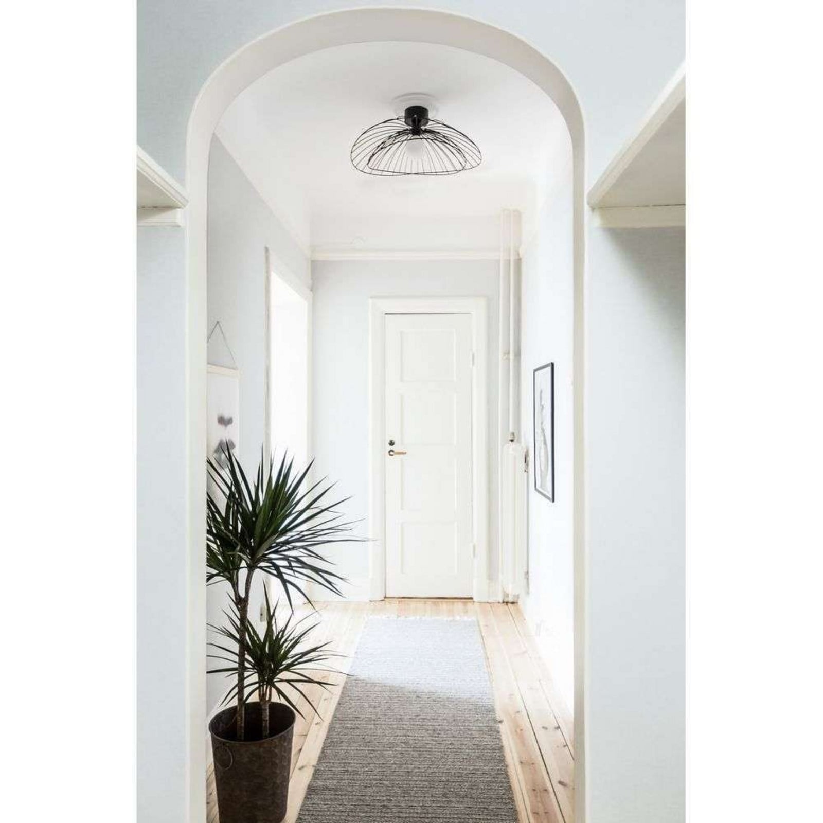Ray 60 V&auml;gg-/Plafond Svart Globen Lighting - Metall