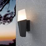 Farindola outdoor wall light in black/white