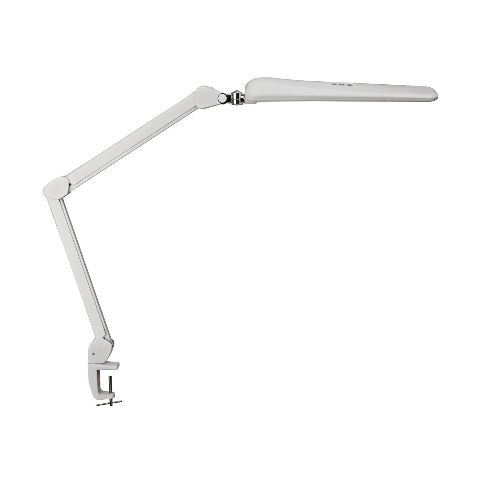 LED-Tischleuchte MAULcraft, weiß, 52 cm, Klemmfuß, dim
