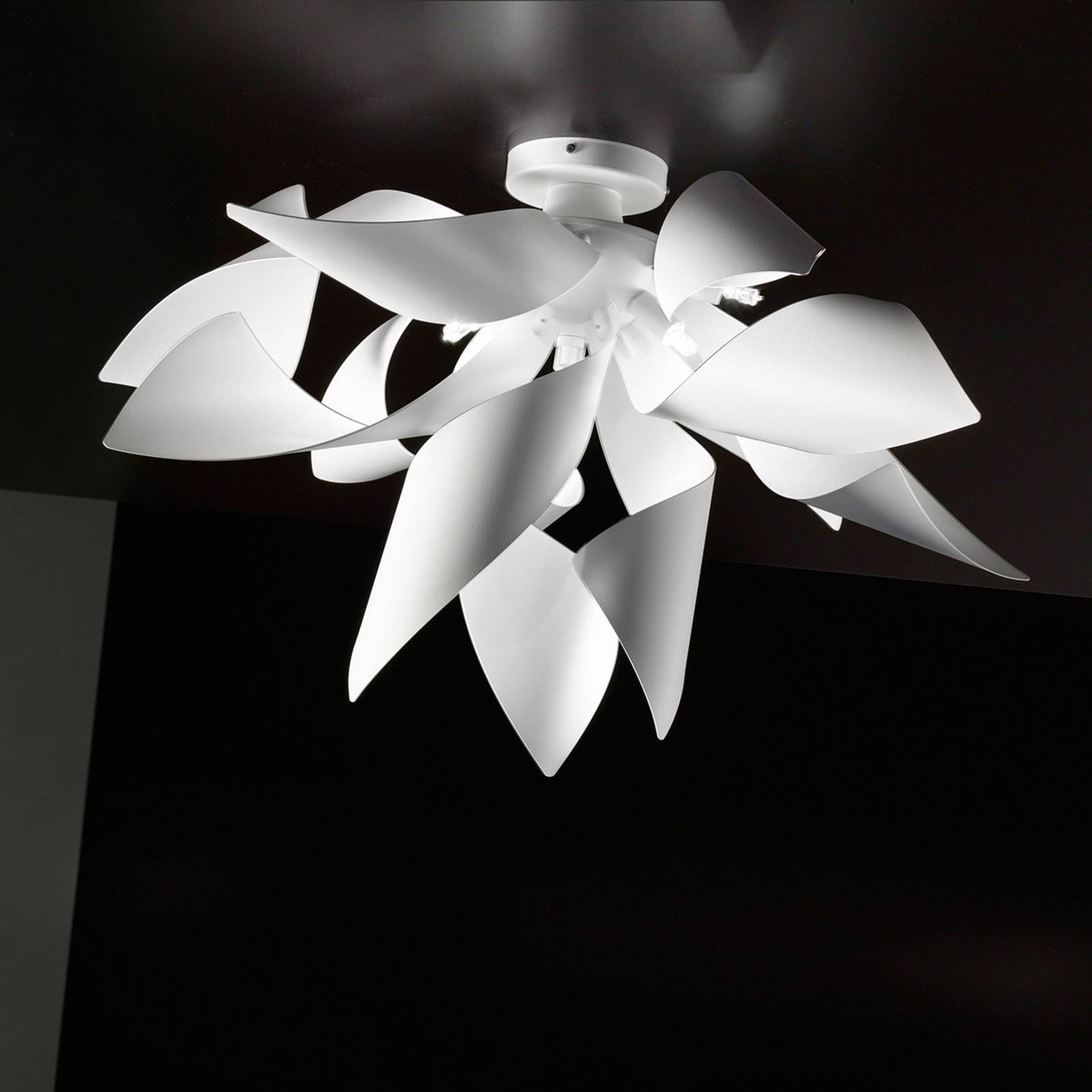 Designerska lampa sufitowa Ginger, 50 cm