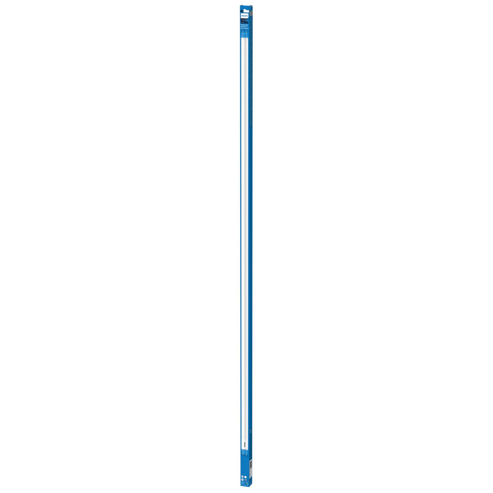 Żarówka rurkowa LED Philips G13 T8 19,5W 151,4cm 6500K