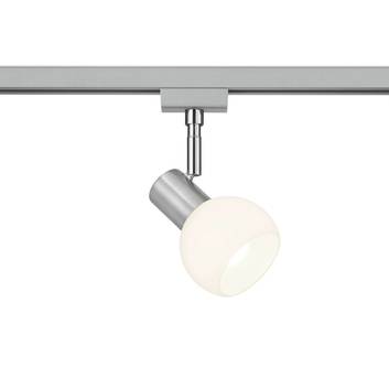 Spot voor DUOline-railsysteem, opaalglas/nikkel