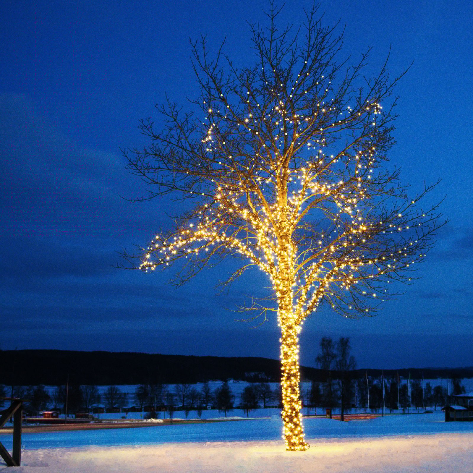Chrissline Lichtketting 50L Extra Warm - Markslöjd