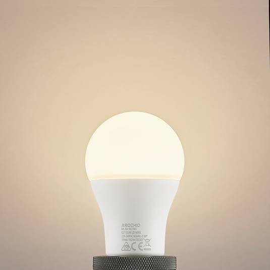 LED lamp E27 A60 13,5W 3.000K opaal