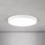 LED ceiling lamp Disc, white Ø 28 cm, CCT, metal/plastic