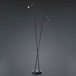 Tom LED floor lamp, 2-bulb, black