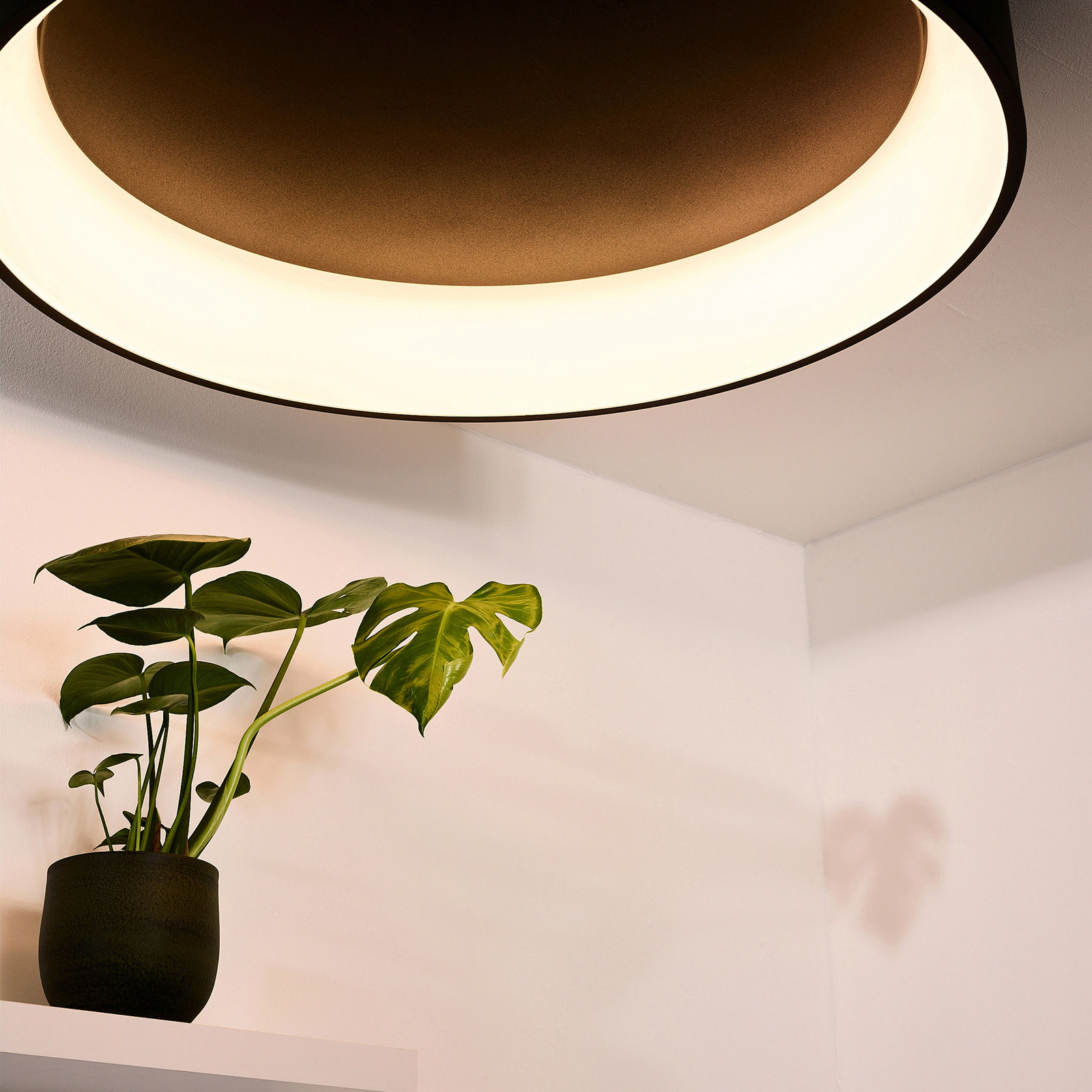 Talowe LED ceiling light, black, Ø 80 cm