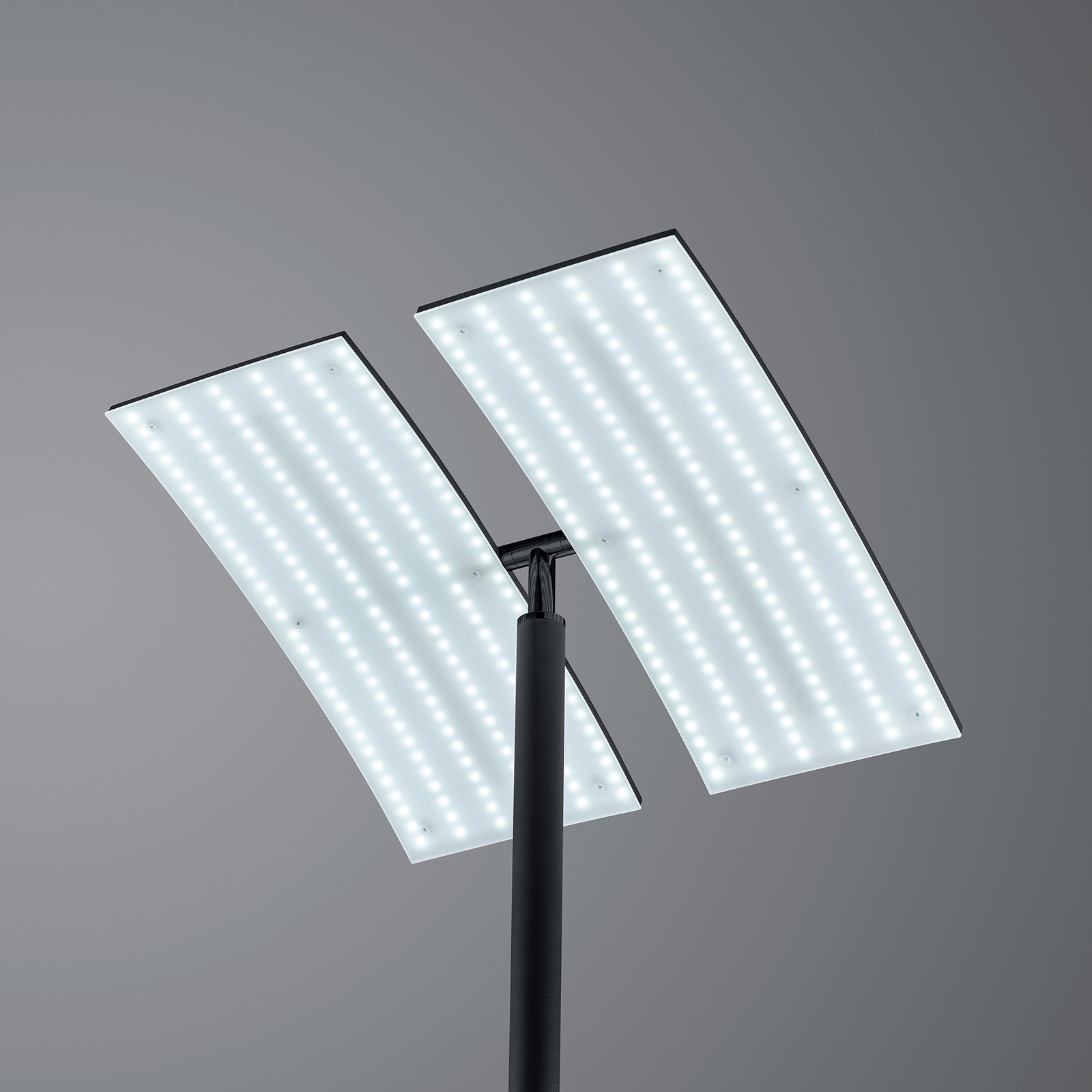 LED vloerlamp Dual CCT, dimbaar, zwart