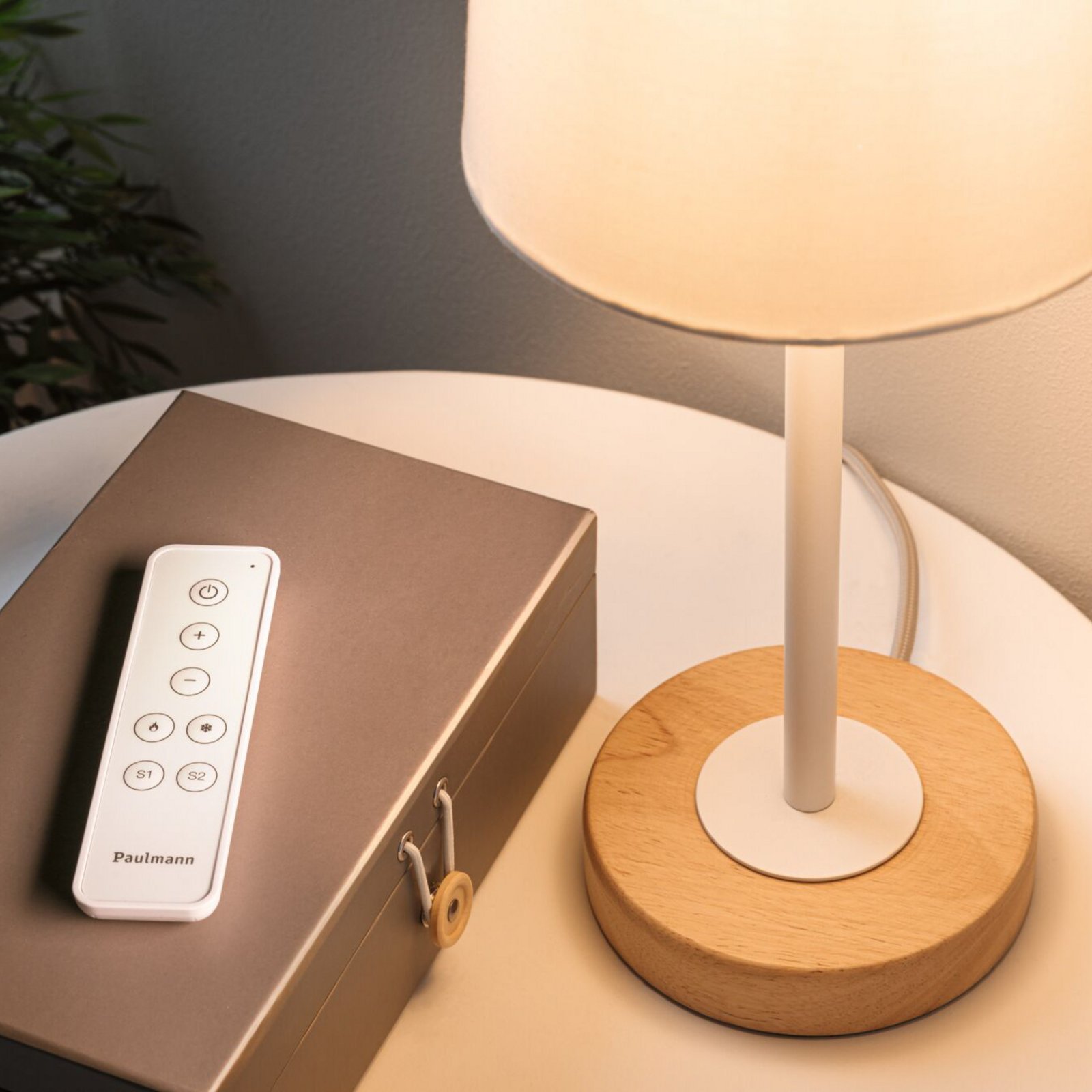 Paulmann BASIC Smart remote control, ZigBee 3.0, white