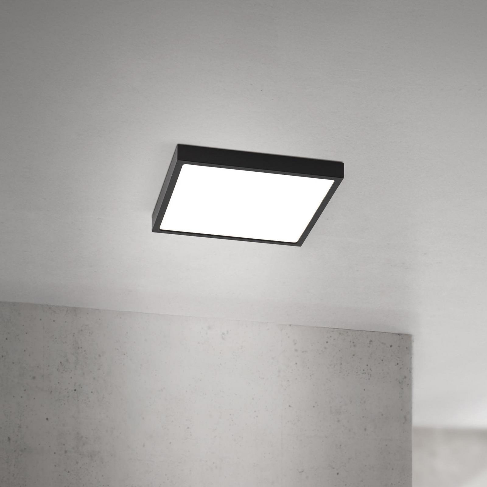 LED ceiling lamp Disc, black Length 24 cm, CCT Metal