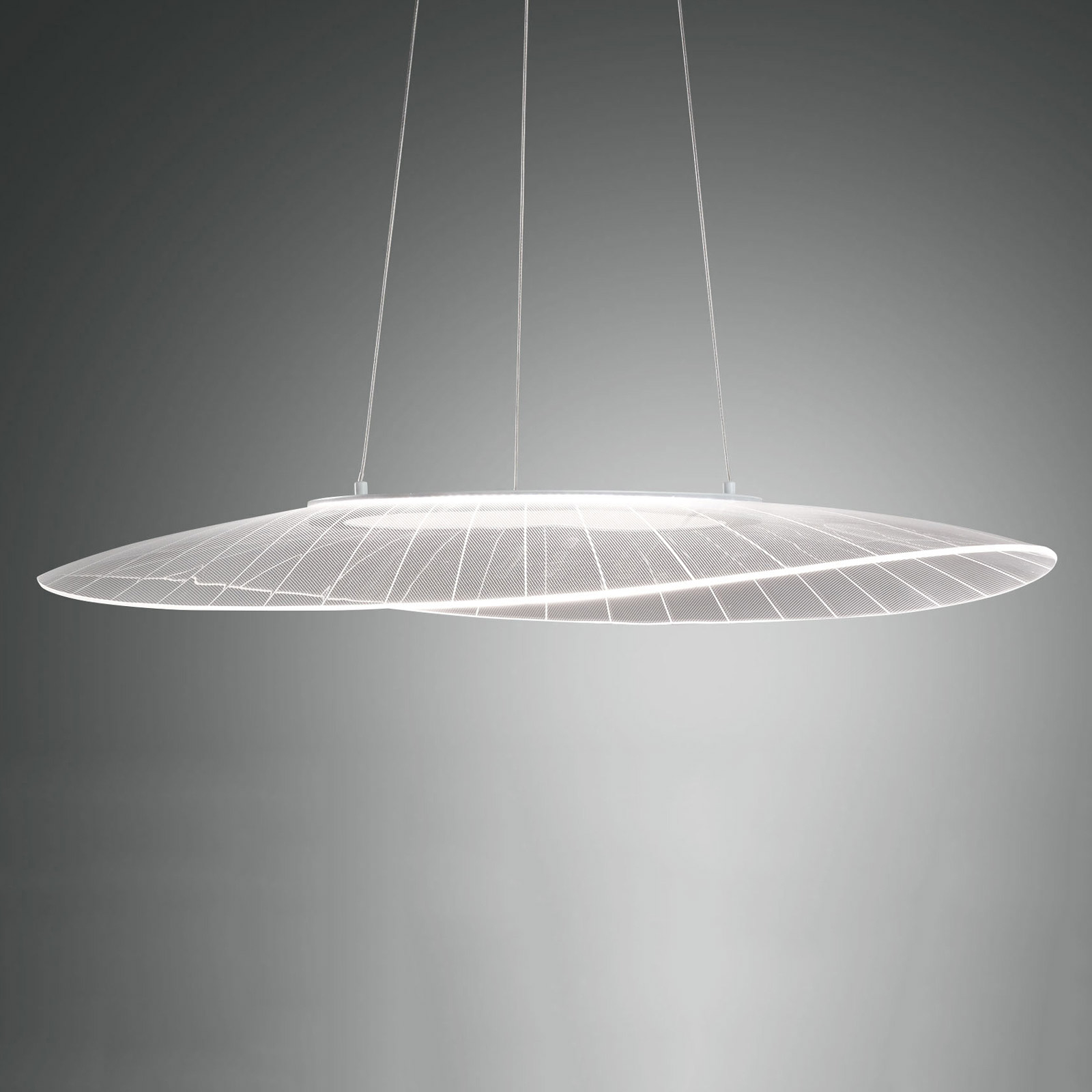 LED-pendellampa Vela, vit, oval, 78 cm x 55 cm