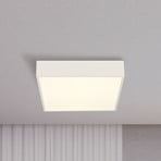 Zeus LED bathroom ceiling lamp, white, length 30 cm, metal