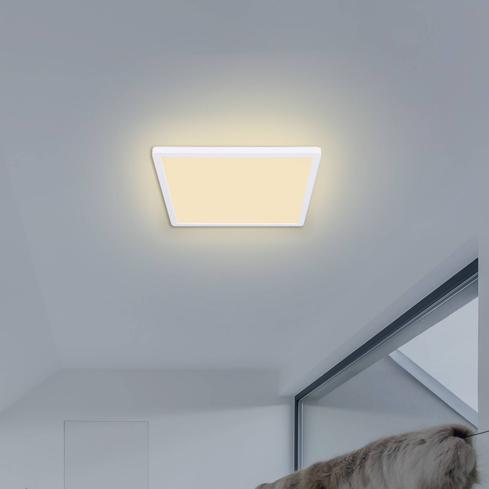 Levně LED stropní světlo Sapana, hranaté, stmívací, bílá