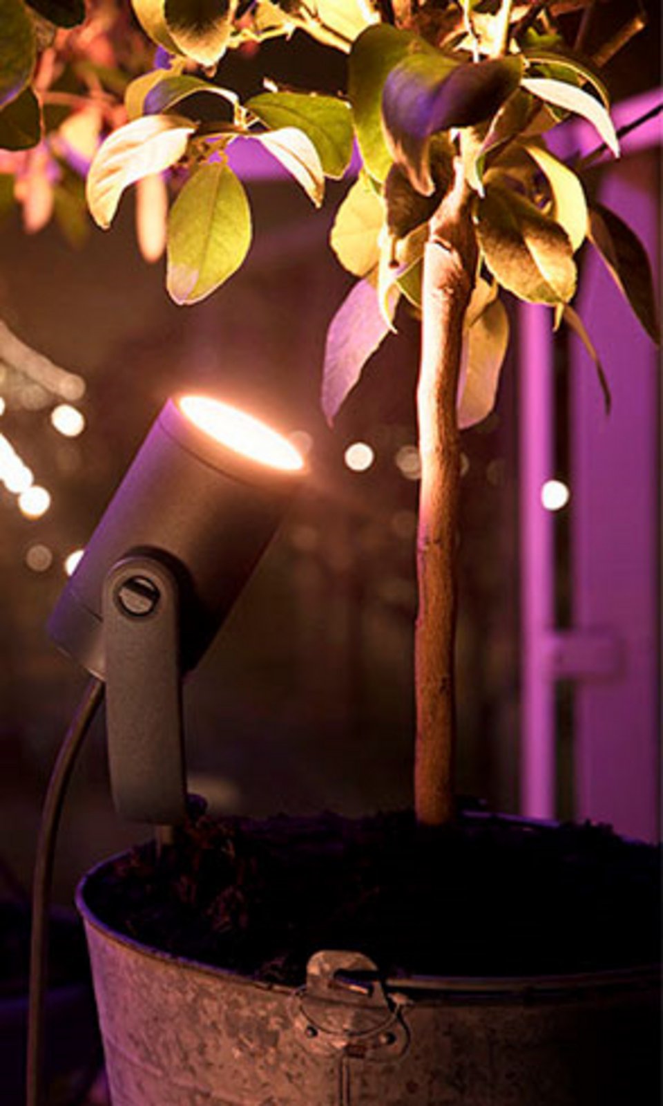 Lily Spike Extension t/Outdoor Spot 1x8W White/Color Amb. Antracit - Philips Hue