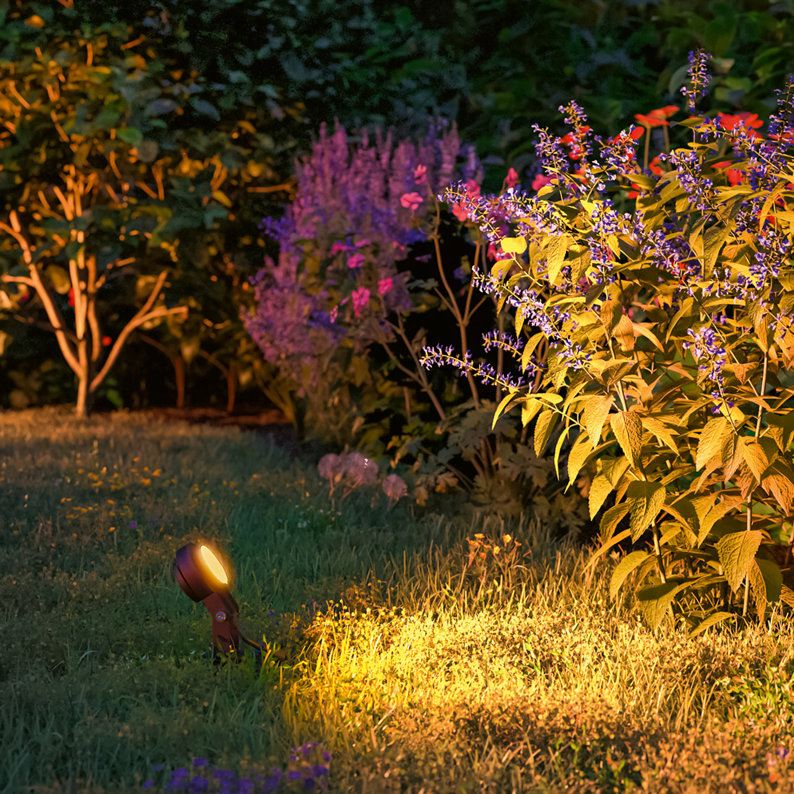 Plug & Shine 3 LED Candeeiro de jardim Sting Insect-friendly IP67 Anthracite - P