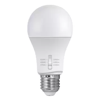 Lampadina LED E27 20W 6.500 K 2.700 lm, tonda