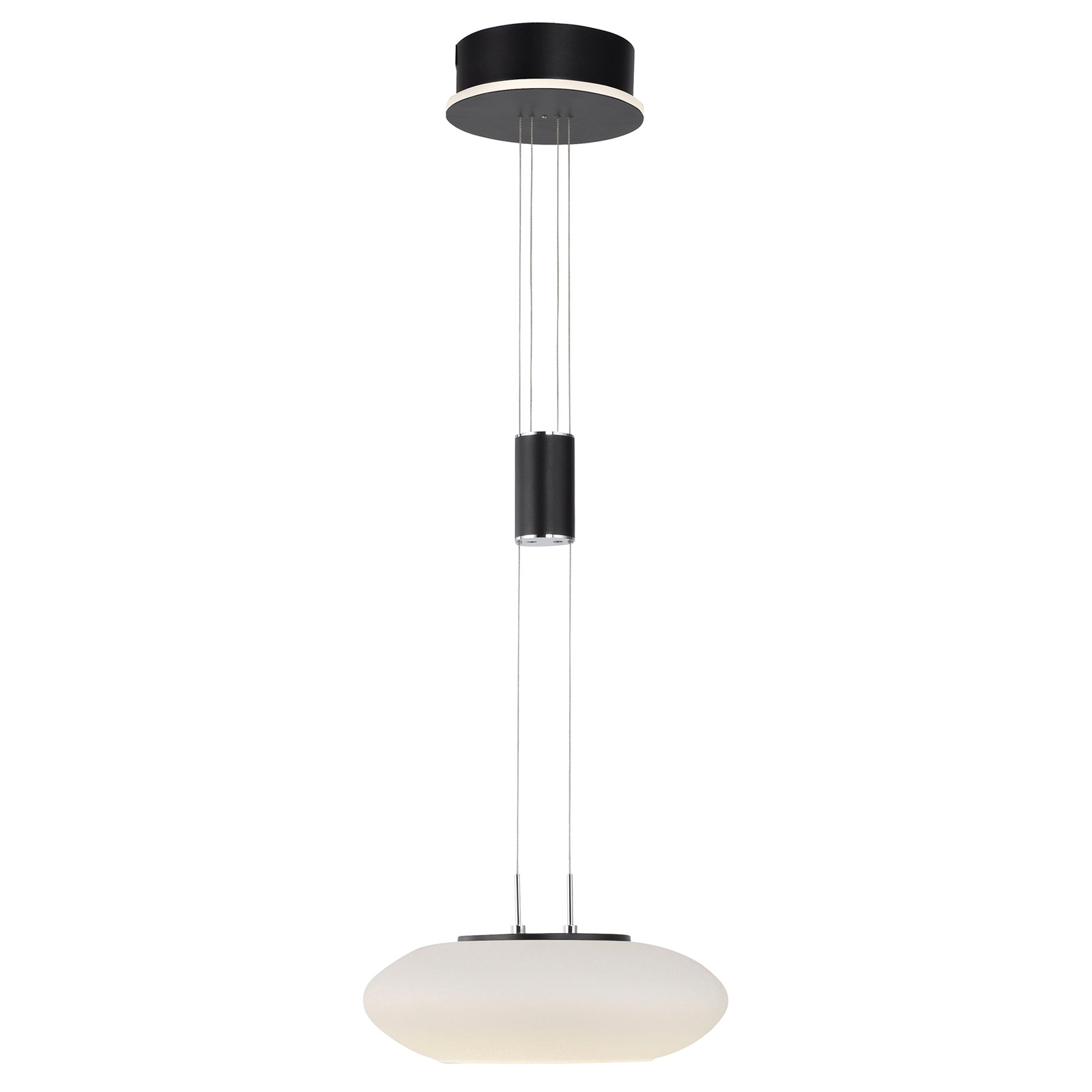 Paul Neuhaus Q-ETIENNE LED hanglamp 1-lamp, zwart