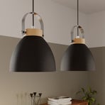 Bergen pendant light, two-bulb, graphite