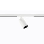 Ivela Microperfetto track spotlight, white, PWM 48 V 30° 3,000 K