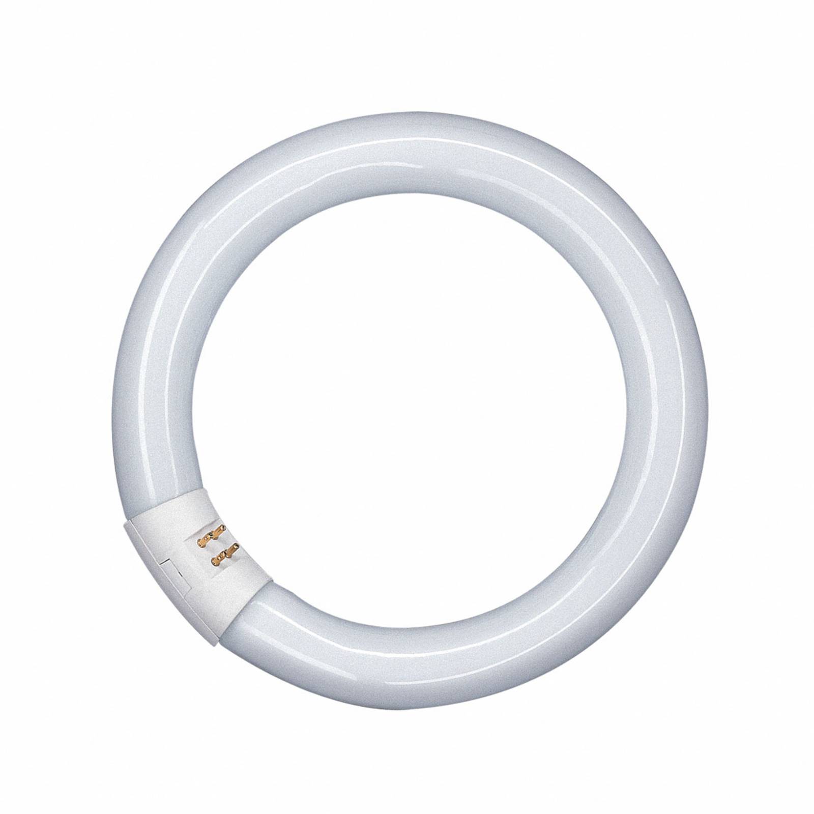 Osram G10q 22W 840 Lumilux T9C lysstoffring