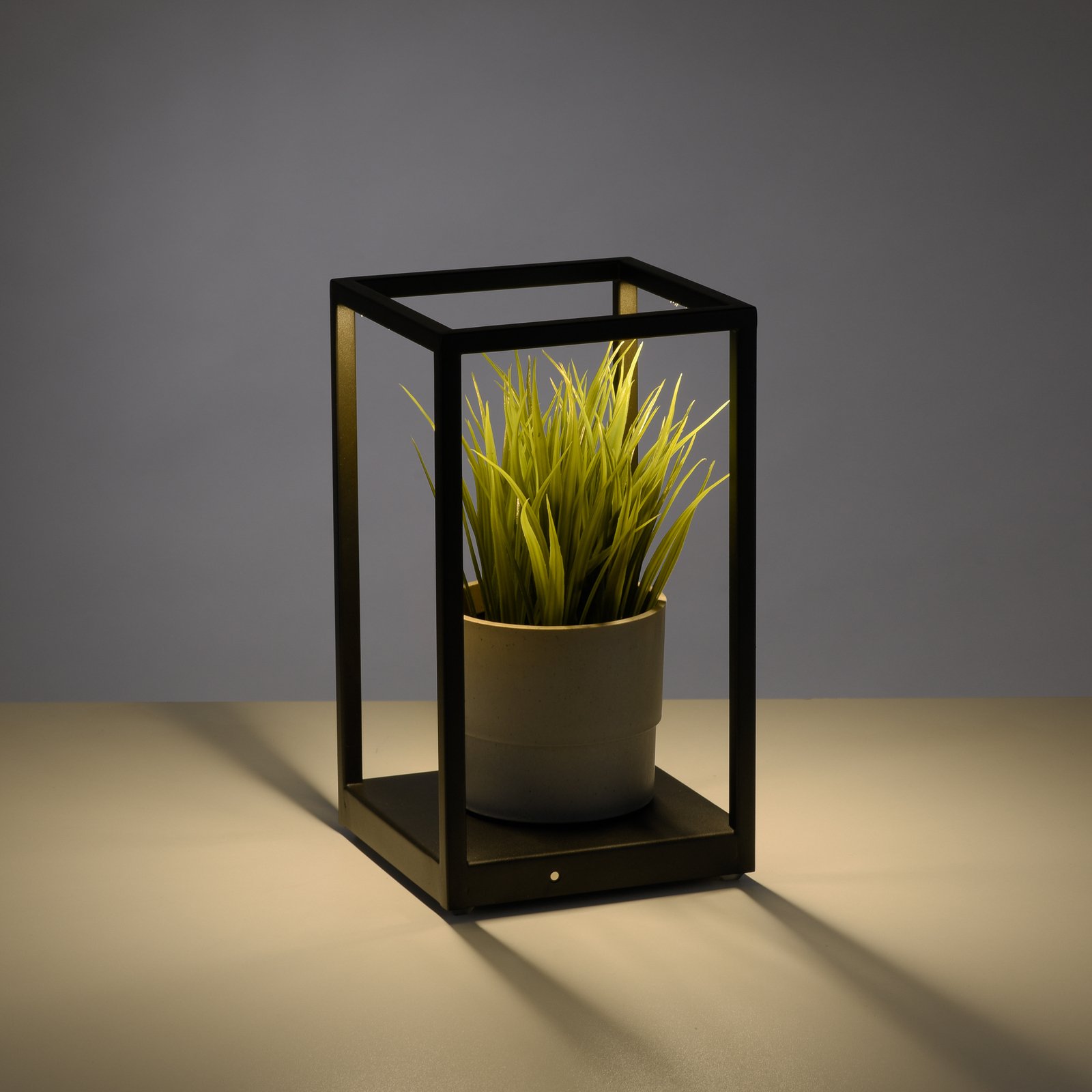 Paul Neuhaus Contura LED-bordlampe i sort