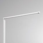 Molto Luce Lens Short Double F Sensor