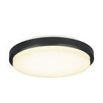 Upscale LED Lámpara de Techo Ø22 Black - Halo Design