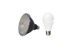 Bec LED 21W (2452lm) A65 2700K + 15W (1300lm) 30° Par38 - Flos