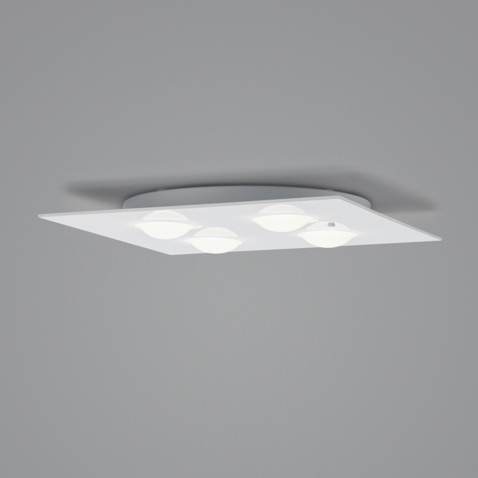 Helestra Nomi plafonieră LED 38x38 cm dim alb