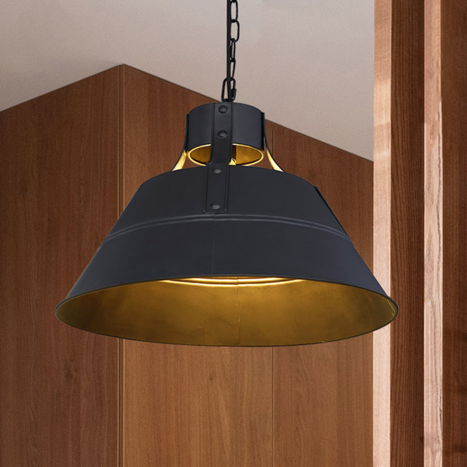 Günther hanging light, vintage design, black