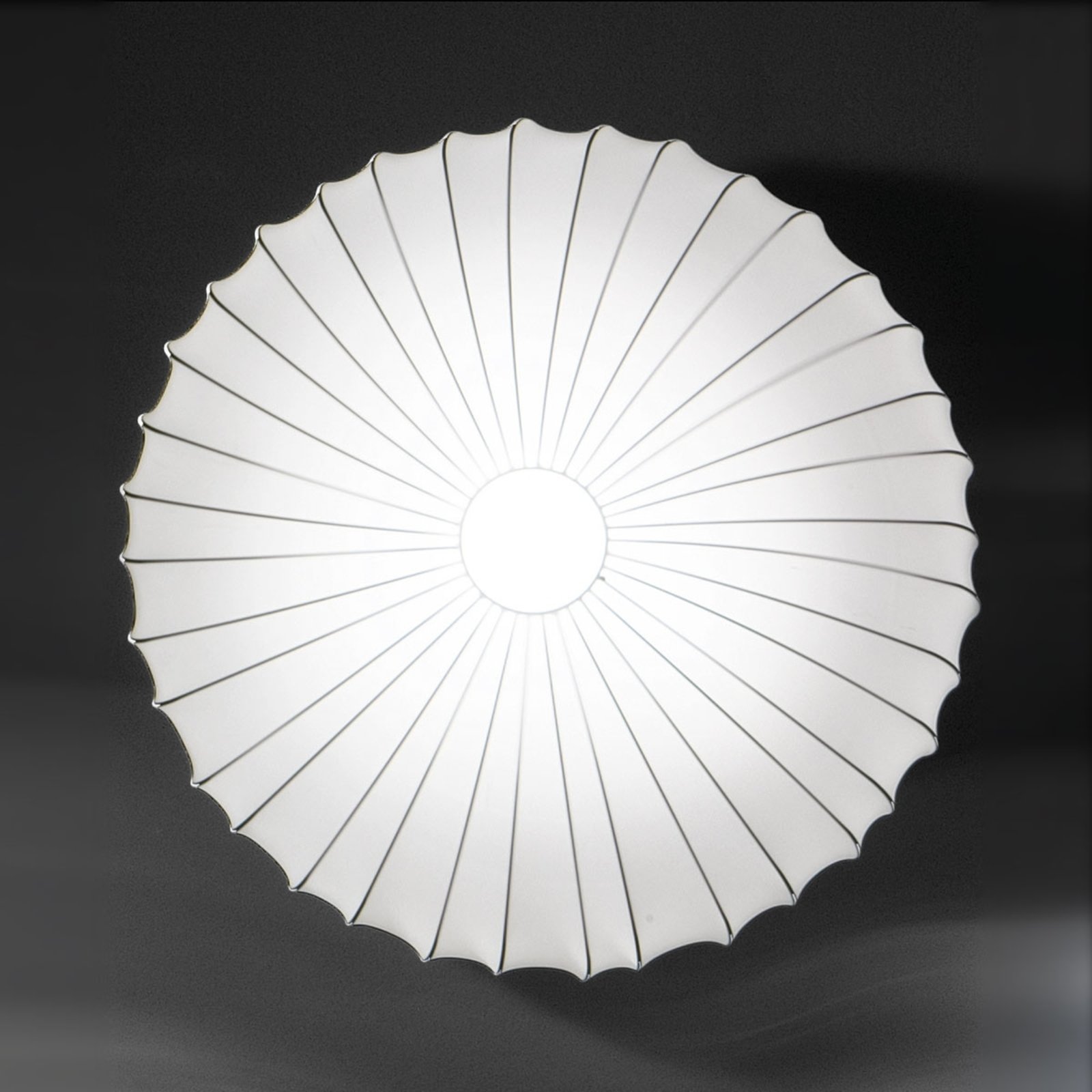 Axolight Muse applique en blanc