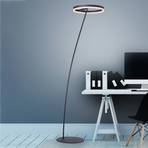 Paul Neuhaus Titus LED floor lamp grey dimmer