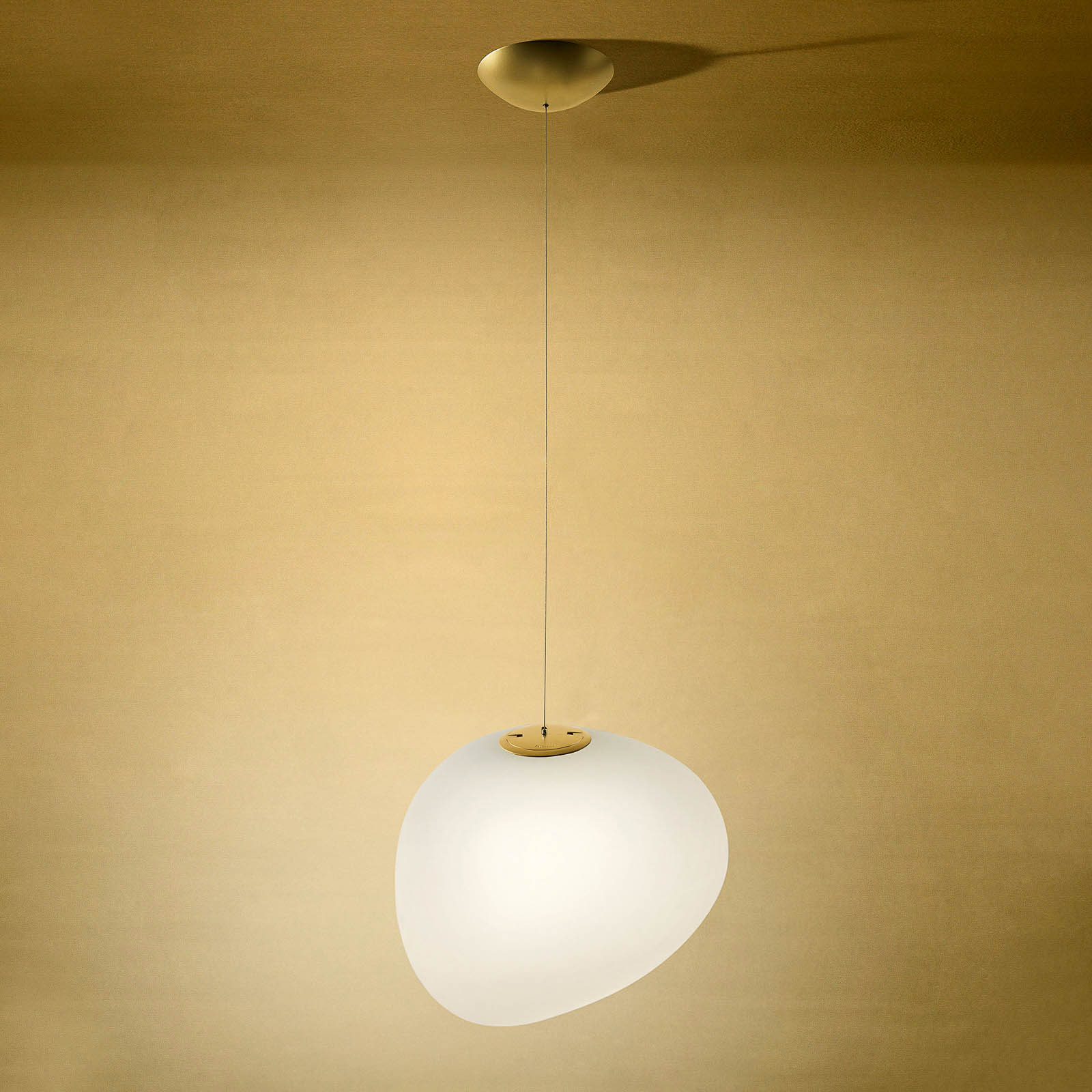 gregg piccola foscarini