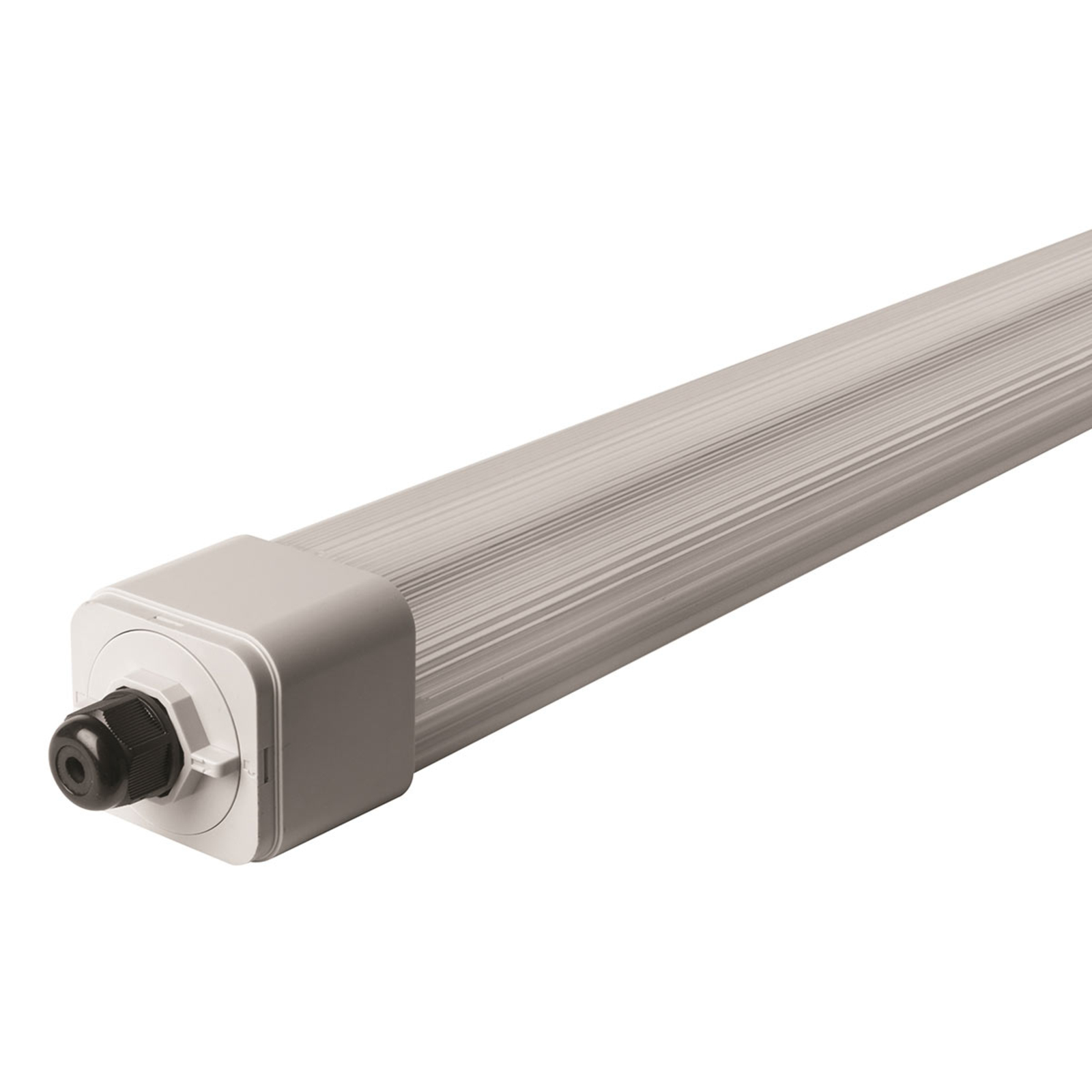 Megaman LED moisture-proof light Dino 2 127.2 cm, 41.5 W, polycarbonate, 41.5 W, energy efficiency: A+, L: 127.2 cm, W: 6.2 cm, H: 5.6 cm