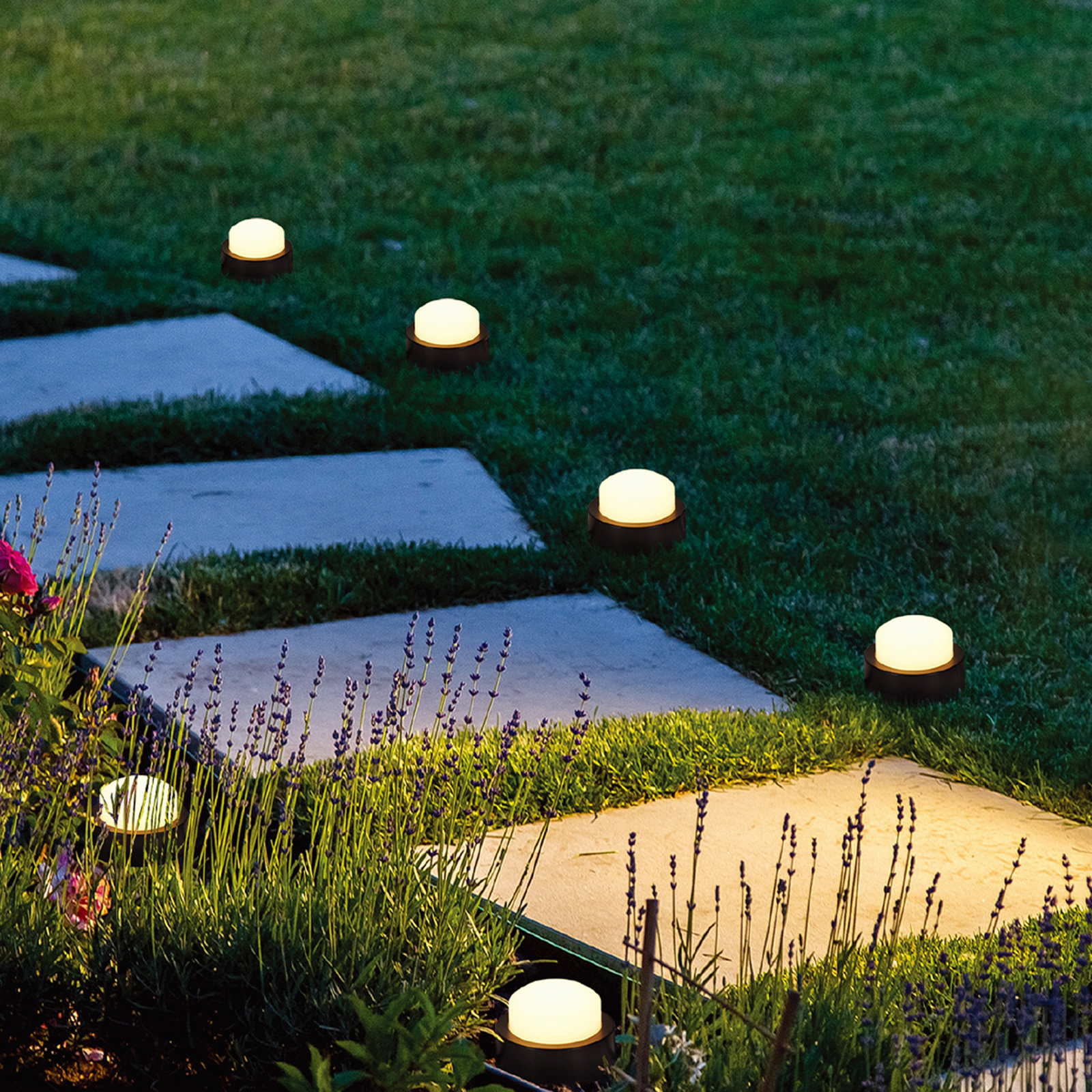 Soliray Solar Fairy Lights with Ground Spikes, 10-bulb, black, length 12 m