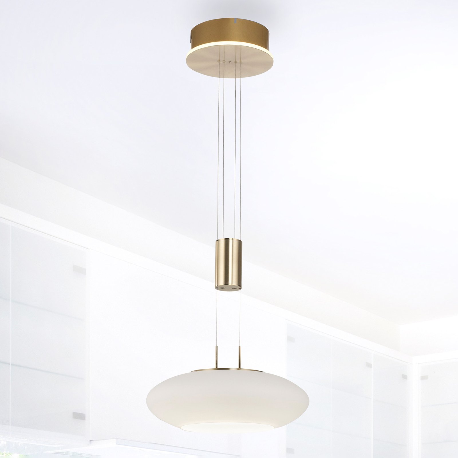 Paul Neuhaus Q-ETIENNE LED hanging light, 1-bulb
