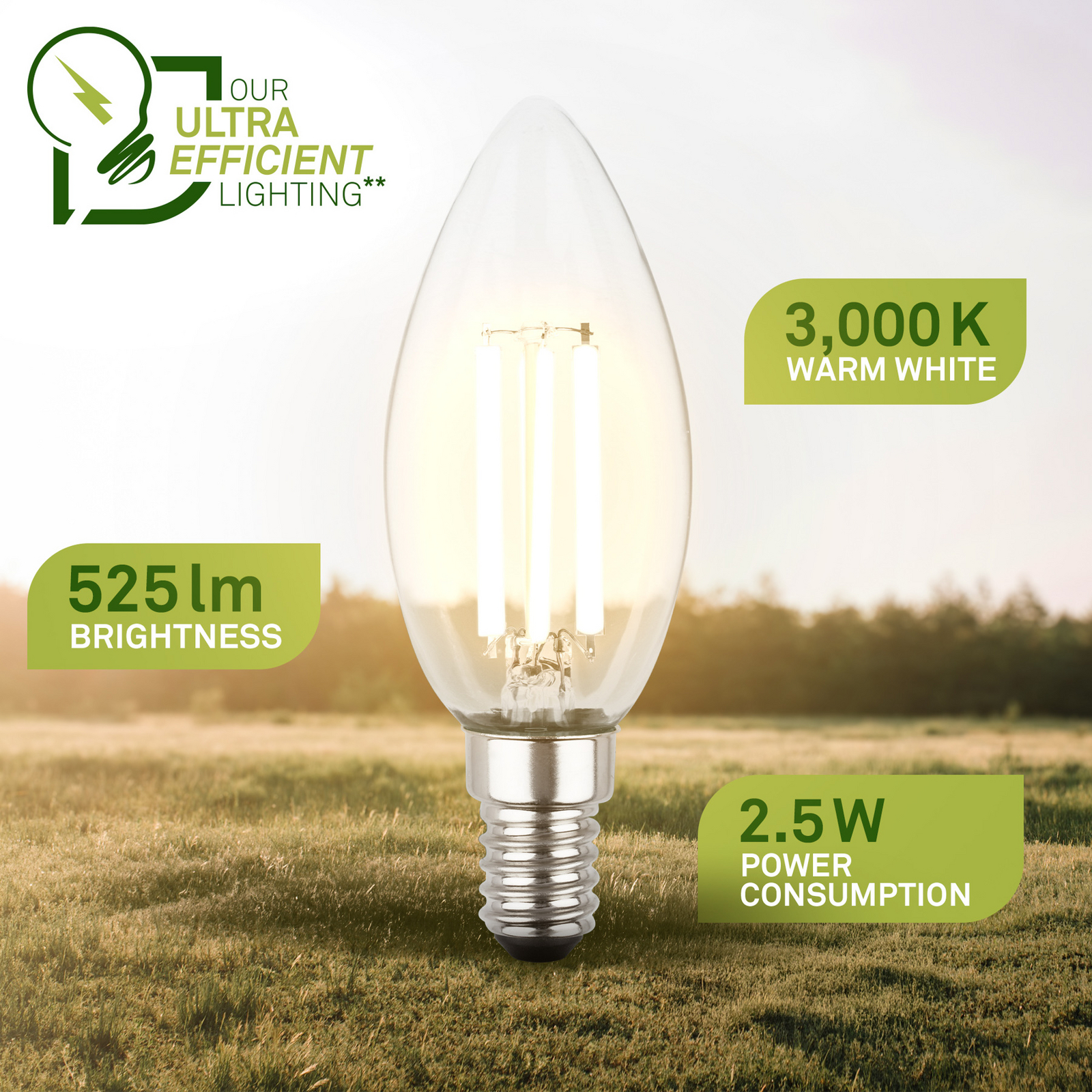 Ampoule LED bougie E14 2,5W claire 3000K 525 lm EEK A 2er